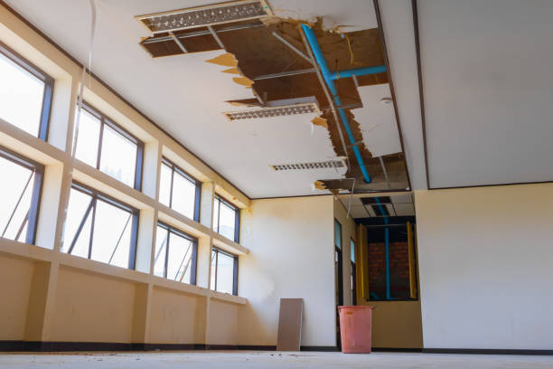 Water damage restoration mold remediation in Laie, HI