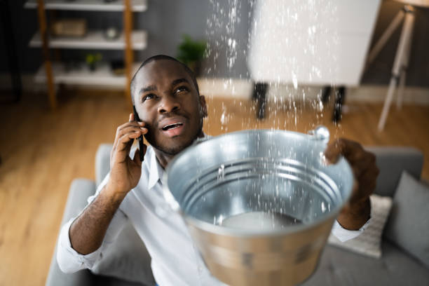 Best Water damage restoration near me  in Laie, HI