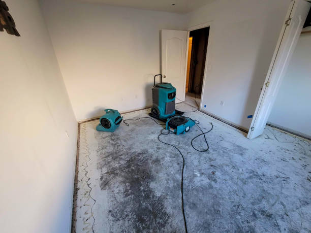 Best Commercial water damage restoration  in Laie, HI