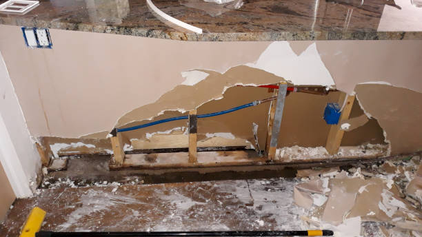Best Fire Damage Restoration  in Laie, HI