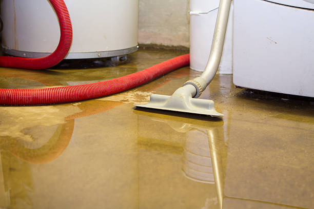 Best Residential water damage restoration  in Laie, HI