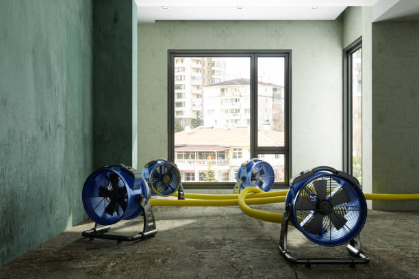 Best Ceiling water damage repair  in Laie, HI