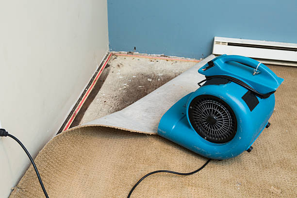 Best Local water damage restoration  in Laie, HI